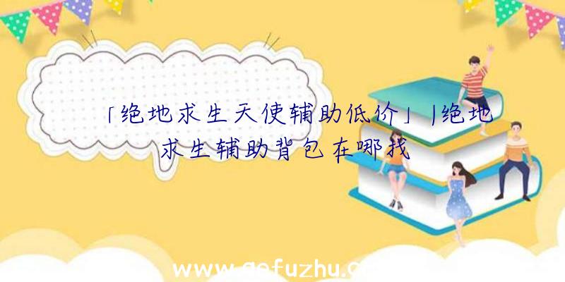 「绝地求生天使辅助低价」|绝地求生辅助背包在哪找